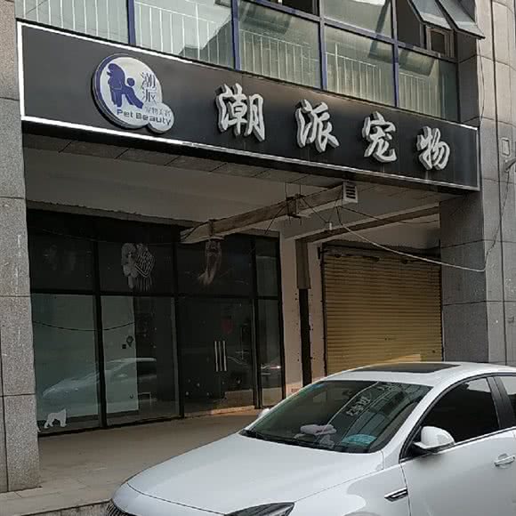潮派宠物:郑州市金水区丰业广场/千盛广场附近