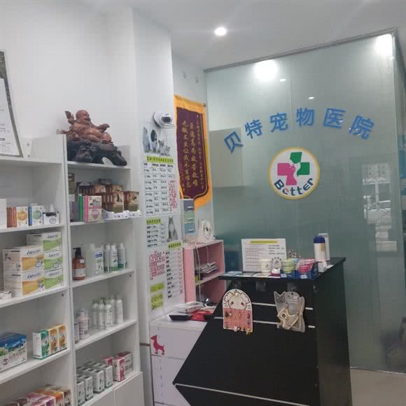 贝一特宠物医院:郑州市金水区陈寨/张家村附近