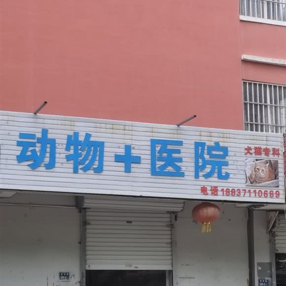 张广福动物医院:郑州市金水区龙子湖校区附近
