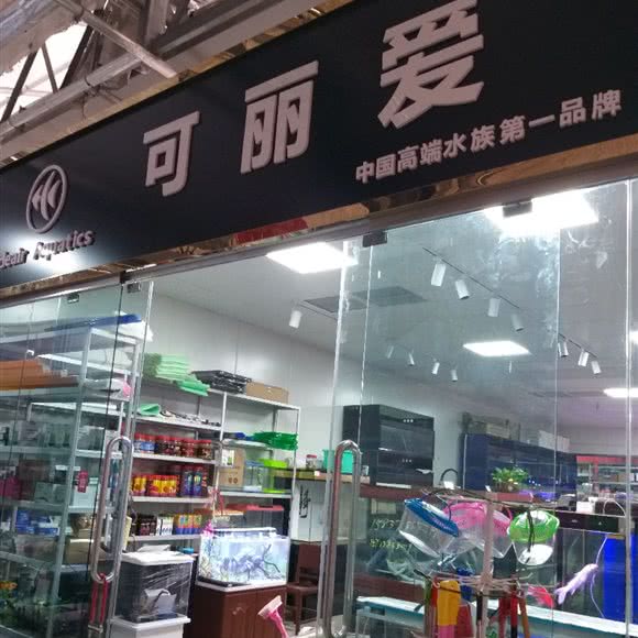 可丽爱:郑州市金水区市体育中心/郑东花卉市场附近