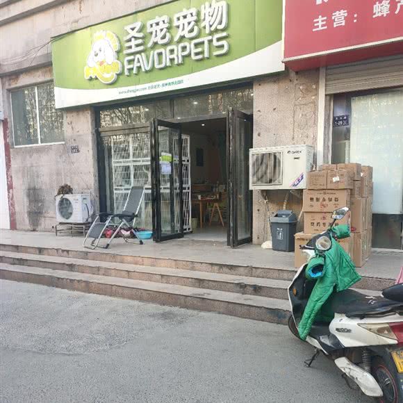 圣宠宠物(博瑞花园店):郑州市金水区凤凰城/上悦城附近