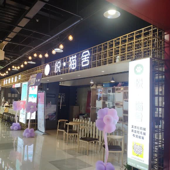 悦猫舍:郑州市金水区凤凰城/上悦城附近