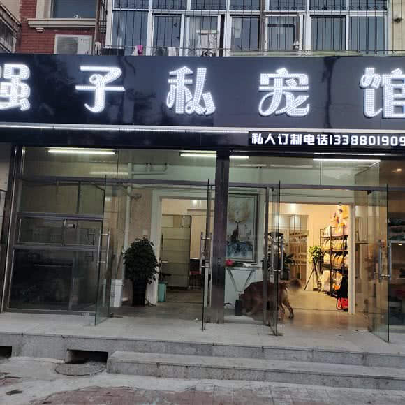 强子私宠馆:天津城区河北区王串场/民权门附近