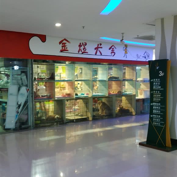 金煜犬舍:郑州市金水区凤凰城/上悦城附近