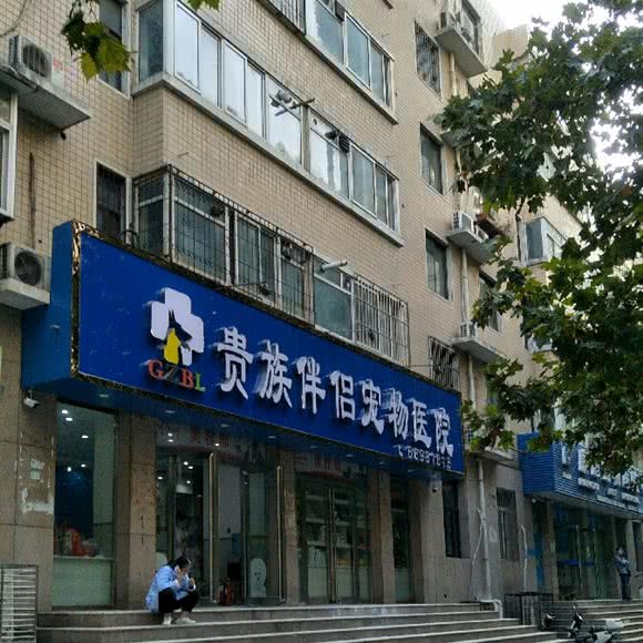 贵族伴侣宠物医院:郑州市金水区建文新世界附近