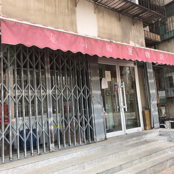 宠尚阁宠物店:天津城区河北区王串场/民权门附近