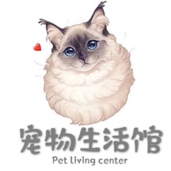 宠物生活馆:郑州市金水区健康路/零零茂附近