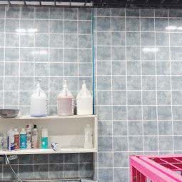 多吉狗狗美容店:郑州市上街区上街区附近