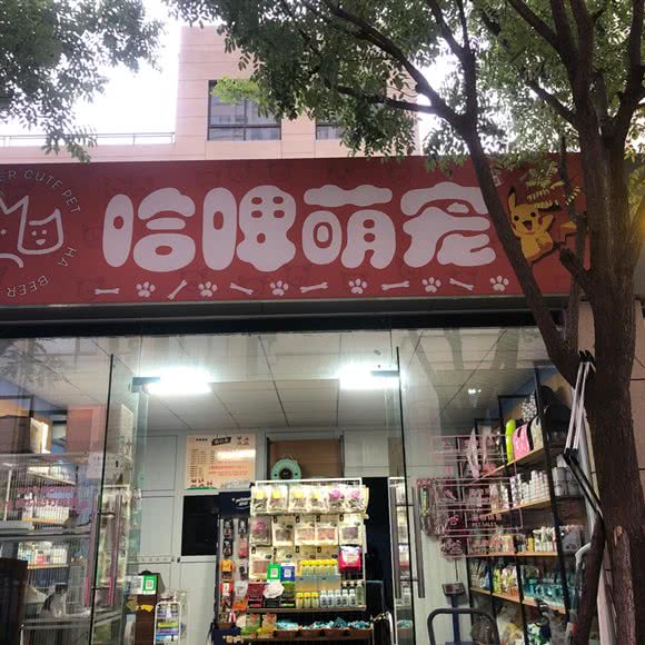 哈啤萌宠:郑州市惠济区北大学城附近
