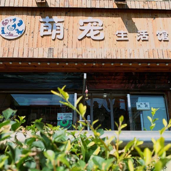 萌宠生活馆宠物店:天津城区河北区王串场/民权门附近