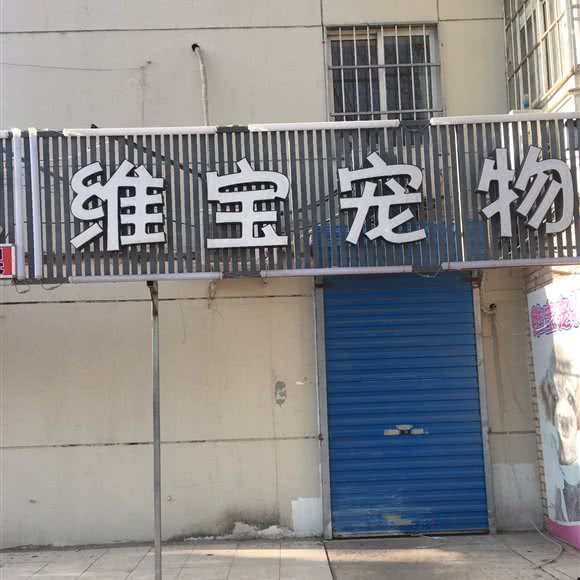 维宝宠物狗:天津城区河北区王串场/民权门附近