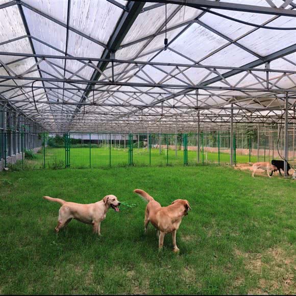 宠有所托·宠物度假村:郑州市惠济区黄河游览区附近