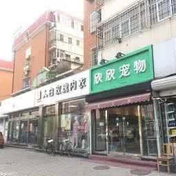 欣欣宠物:天津城区河北区王串场/民权门附近