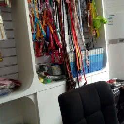 WO宠WO爱:郑州市新密市青屏街街道附近