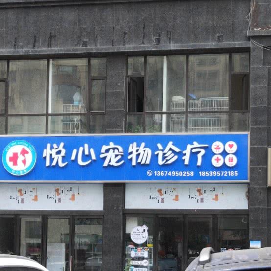 悦心宠物诊疗:郑州市新密市青屏街街道附近