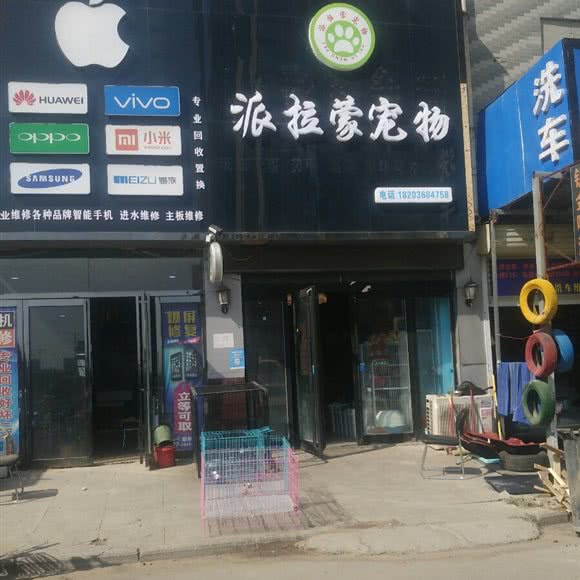 派拉蒙宠物:郑州市新郑市龙湖镇附近