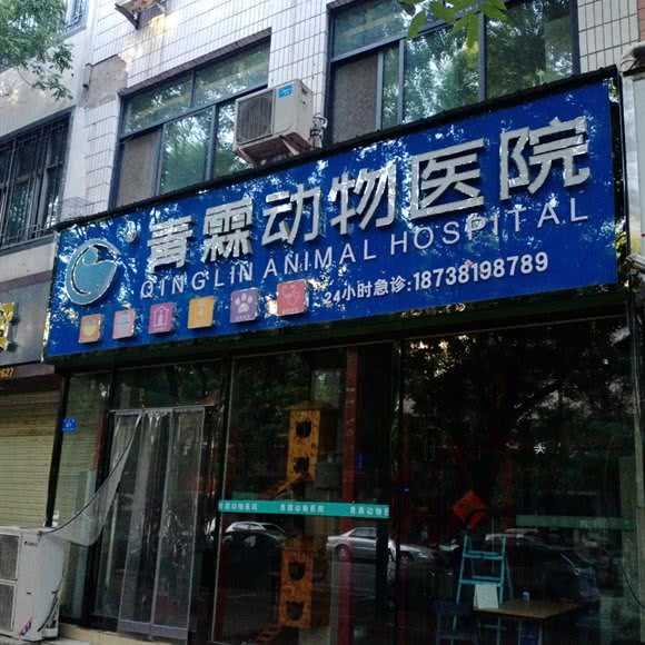 青霖动物医院:郑州市新郑市新烟街道附近