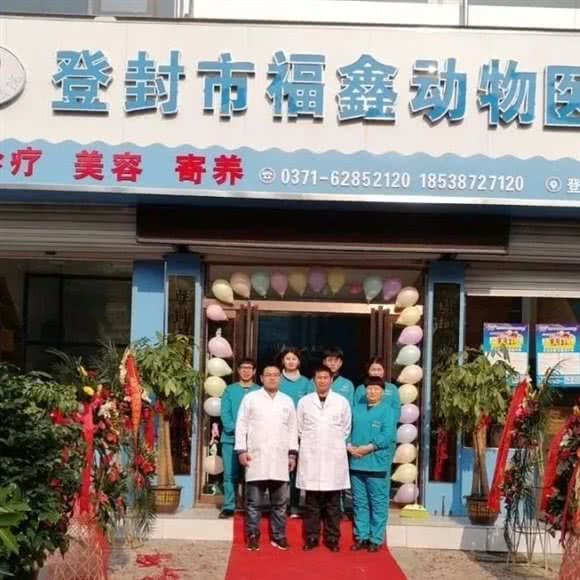 福鑫宠物医院:郑州市登封市嵩阳街道附近