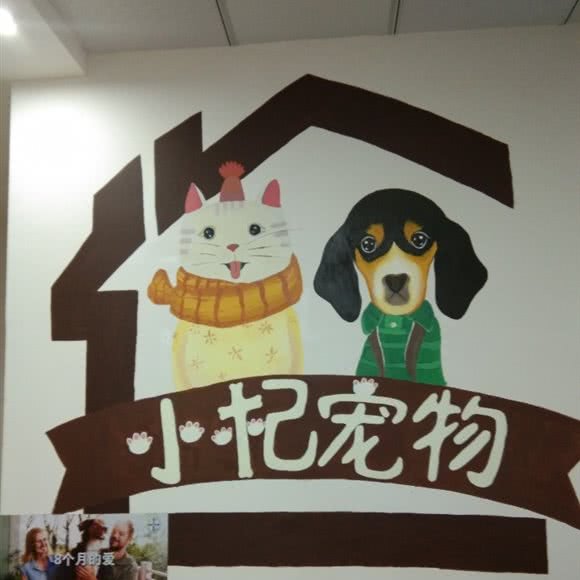 乐来宠物医院:开封市龙亭区开封大学/武夷路附近