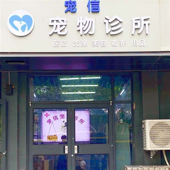 宠信宠物诊所(大梁路店):开封市龙亭区开封大学/武夷路附近