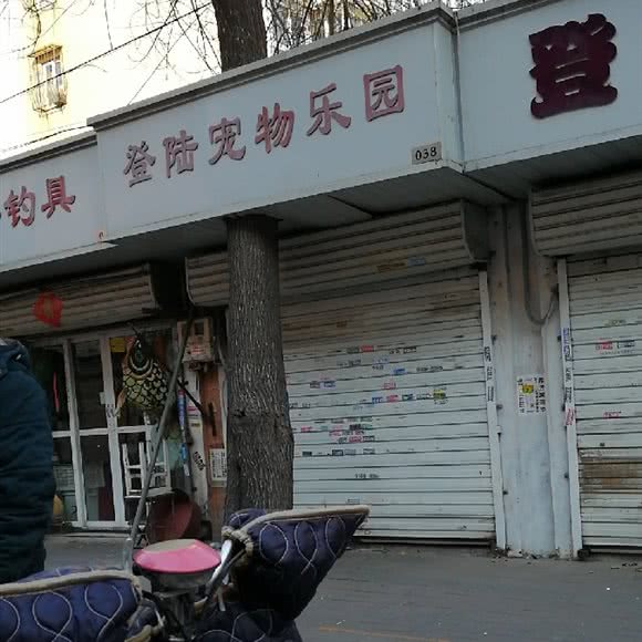 登陆宠物狗俱乐部:天津城区河北区王串场/民权门附近