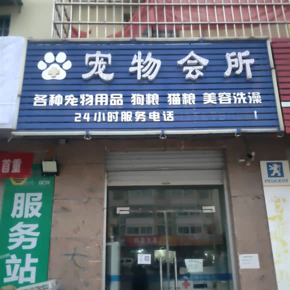 宠物会所王氏宠物诊所:开封市龙亭区河南大学新校区附近
