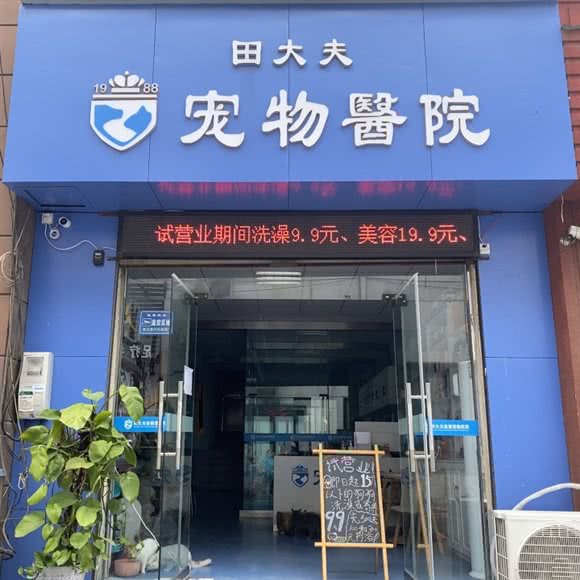 田大夫宠物医院(八一店):开封市龙亭区集英街附近