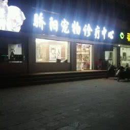 骄阳宠物诊疗中心:开封市龙亭区集英街附近