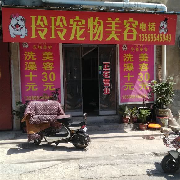 玲玲宠物美容:开封市龙亭区东司门附近