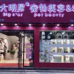 大明星宠物美容&SPA:开封市龙亭区三毛未来附近