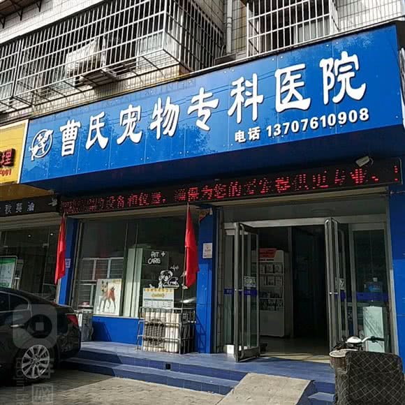 嘉宠动物医院:开封市龙亭区大梁门附近