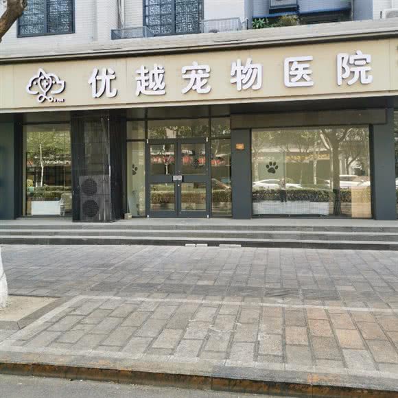 优越宠物医院:开封市龙亭区大梁门附近