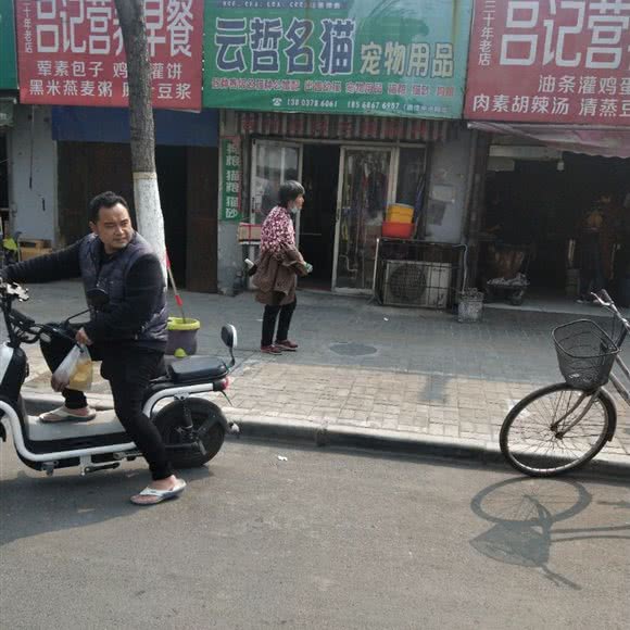 云哲名猫宠物用品店:开封市龙亭区珠玑巷附近