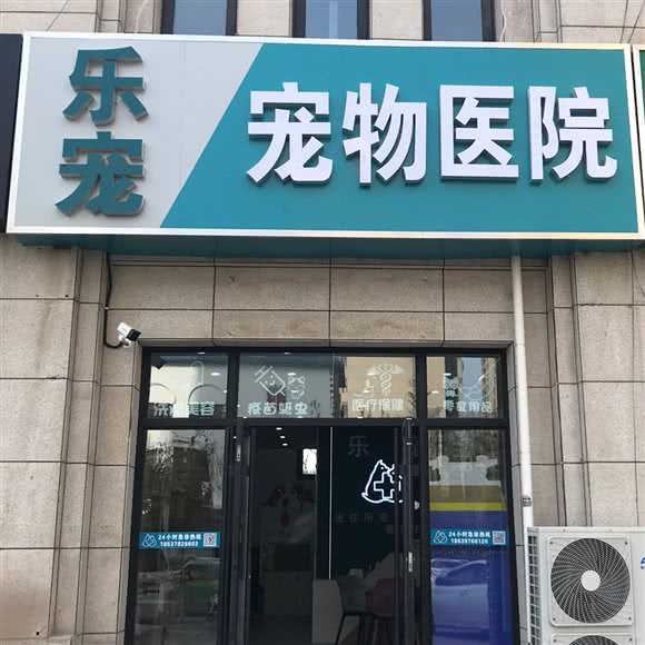 乐宠宠物医院:开封市龙亭区万达广场附近