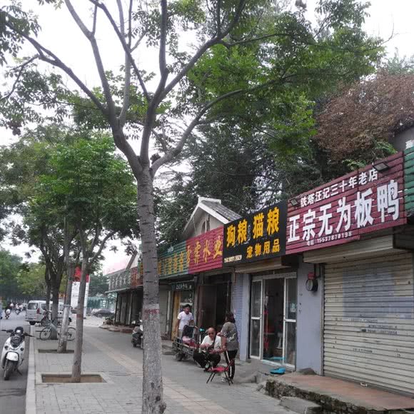 狗粮:开封市顺河回族区河南大学老校区附近