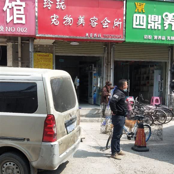 玲珑狗狗美容会所:开封市顺河回族区大润发附近