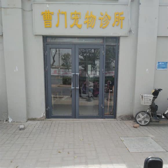 曹门宠物诊所:开封市顺河回族区曹门附近