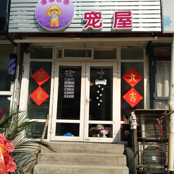 滚滚红辰宠屋:天津城区河北区王串场/民权门附近
