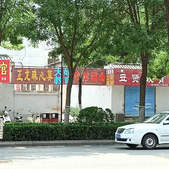 喵巢猫舍:开封市鼓楼区大南门附近