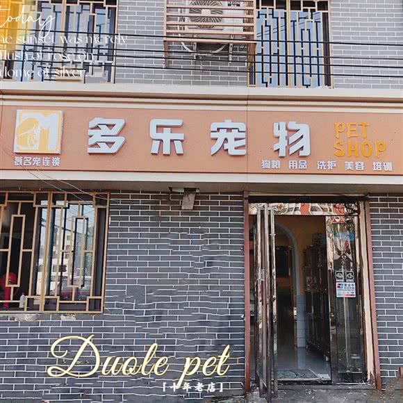 多乐爱宠工作室:开封市鼓楼区西郊商场附近
