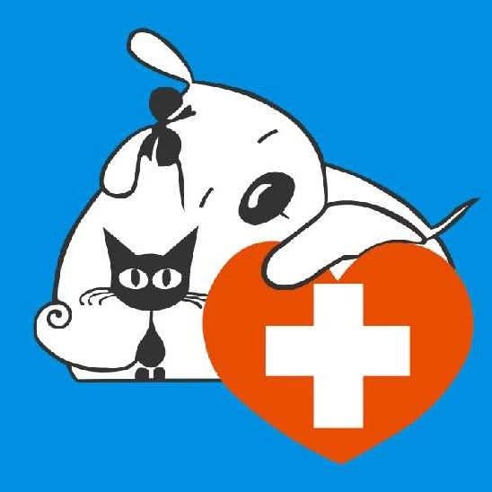 乐宠宠物医院:洛阳市老城区丹尼斯/老城八角金街附近