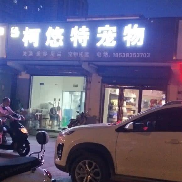 柯悠特宠物狗:洛阳市西工区新都汇/王府井附近