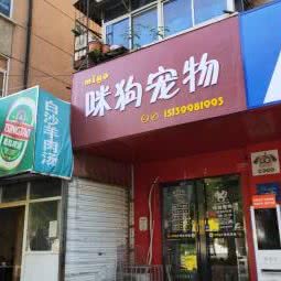 咪狗宠物:洛阳市西工区凯旋广场/百货楼附近