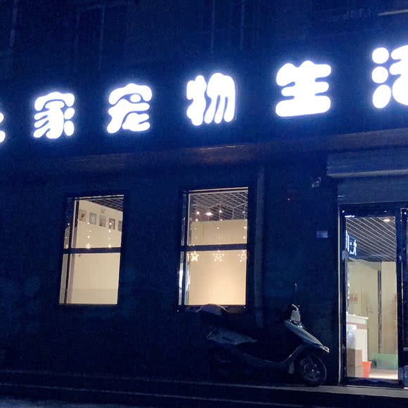 喵喵之家宠物生活馆(喵喵之家):洛阳市西工区凯旋广场/百货楼附近