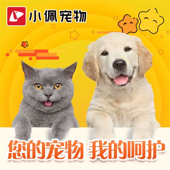 PETKIT小佩宠物(世纪华阳店):洛阳市西工区珠江路美食街附近