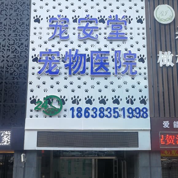 宠安堂宠物医院:洛阳市西工区珠江路美食街附近