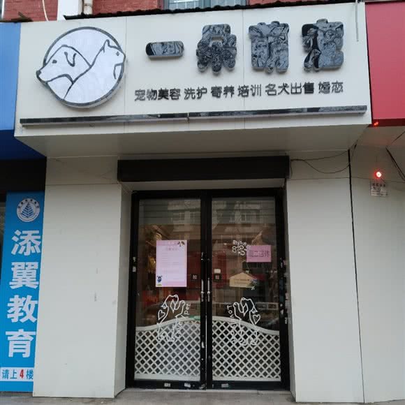 一朵萌宠:洛阳市涧西区广州市场/牡丹广场附近