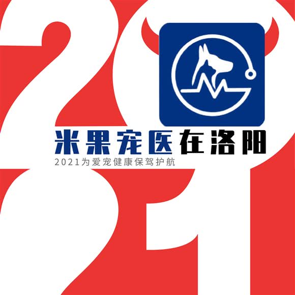 米果宠物医院:洛阳市涧西区南昌路丹尼斯附近