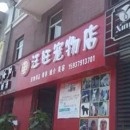 旺汪宠物:洛阳市涧西区上海市场附近