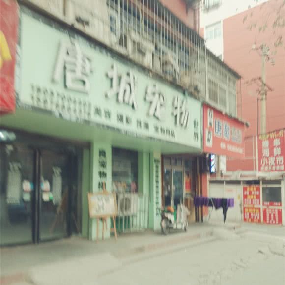 唐城宠物:洛阳市涧西区上海市场附近